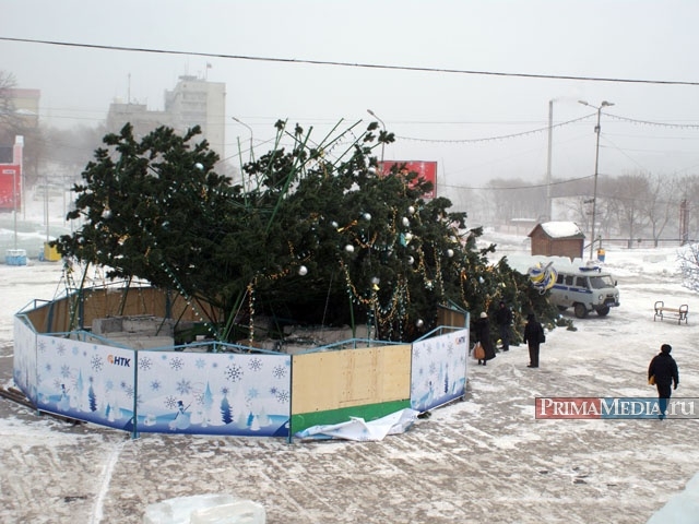 Хоча, судячи з документації, новорічна красуня родом з підмосковного міста Коломни, повинна була витримати властиві Владивостоку вітрові навантаження